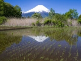 Posvátná hora Fudži